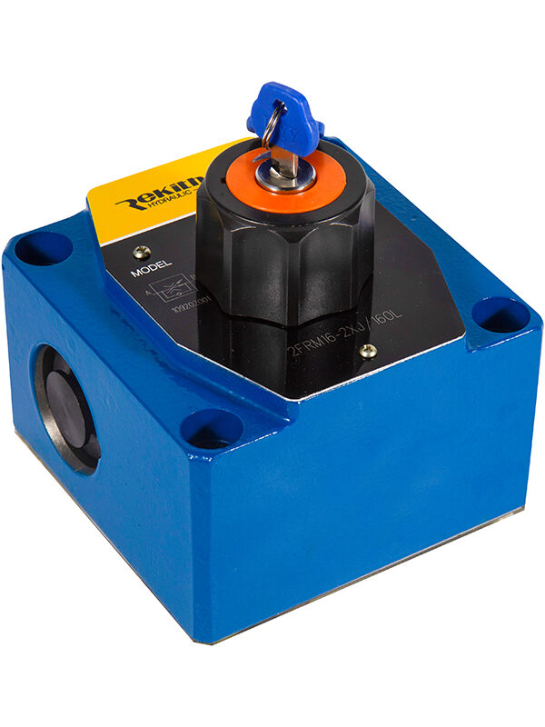 Endustriyel Yön Kontrol Valfleri (2FRM16)